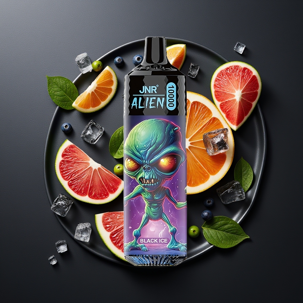 JNR Alien 10000 Pufova Crni Led 850mAh Type-C