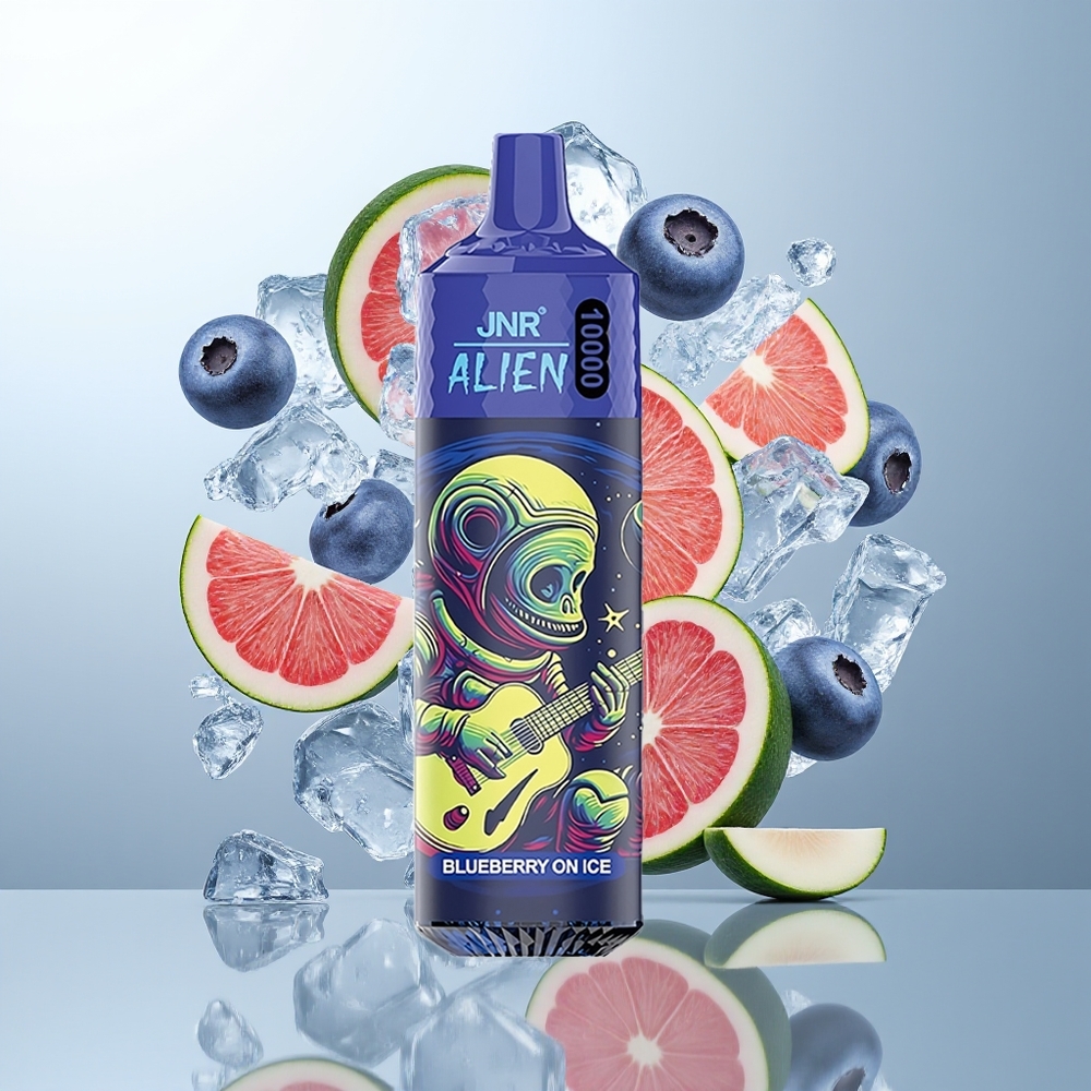 JNR Alien 10000 Pufova LED Borovnica na ledu Tip-C