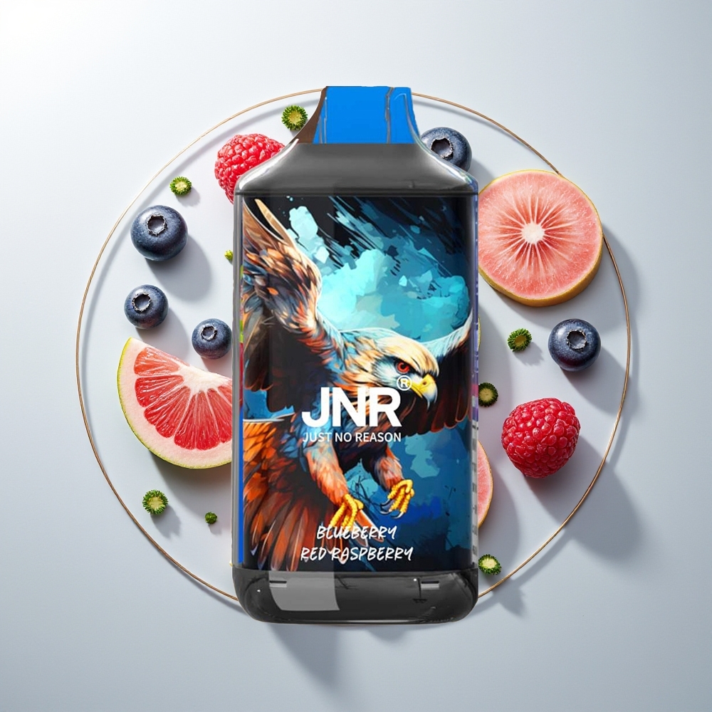 JNR Falcon 16000 Pufova Једнократна вејп Borovina Crvena Malina 850mAh