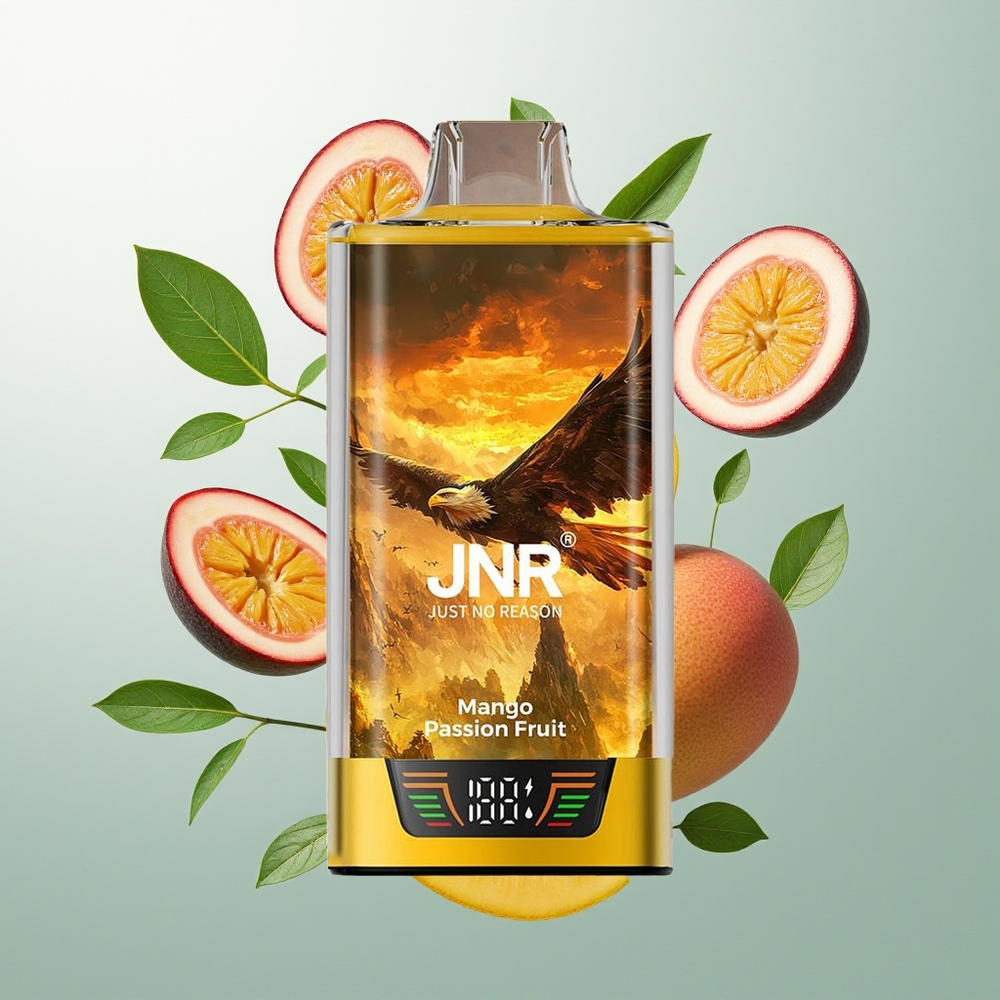 JNR Falcon Pro 28000 28000 Puffova Mangovo Pasulj Voće Dual Mesh