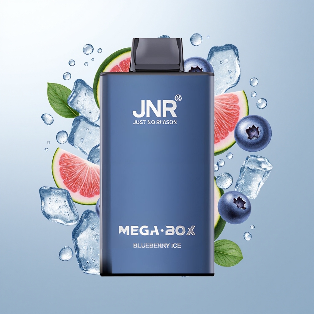 JNR Mega Box 25000 Pufova Једнократна вејп Borovnica Led 850mAh