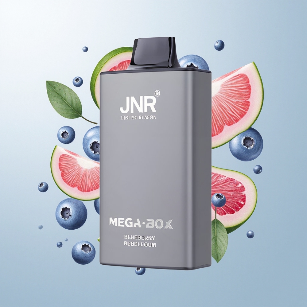 JNR Mega Box 25000 Pufova Dual Mesh Једнократна вејп Borovnica Bubam Žvakača