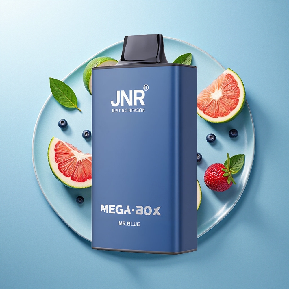 JNR Mega Box 25000 Pufova Једнократна вејп Plava 30ml Dual Mesh