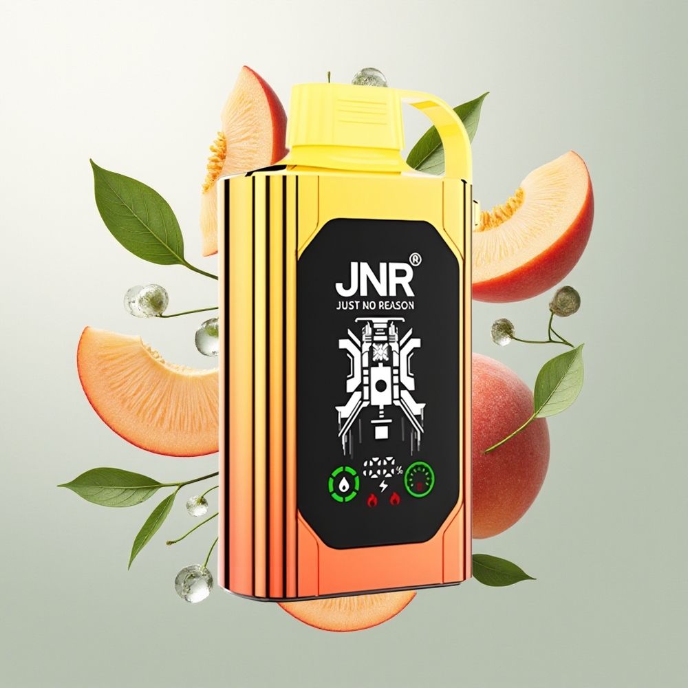 JNR Shisha Hookah Box 20500 Pufova Dvostruka Mreža Sok od Breskve